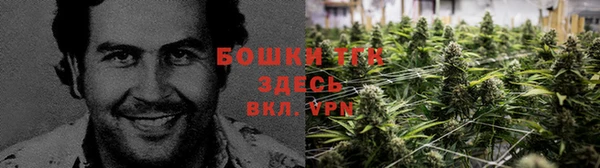 не бодяженный Алзамай