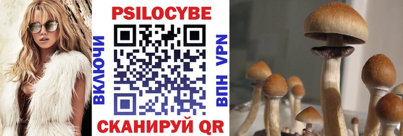 Псилоцибиновые грибы Psilocybine cubensis  сайты даркнета Telegram  Мышкин 